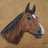 Horse Acrylic Painting