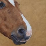 Horse Acrylic Painting