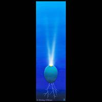 Representational Studies