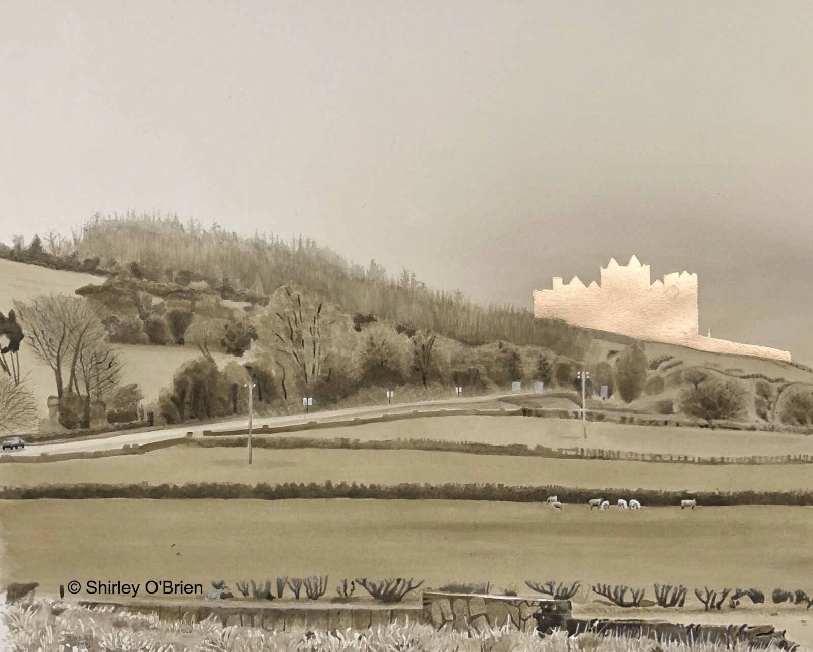 Seven Good Sheep(by the Rock of Cashel)