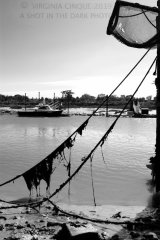 North East Coast  40