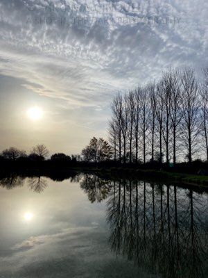 Evening Lake