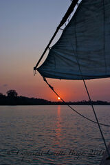Taramid Dow, Nyali Creek, Kenya