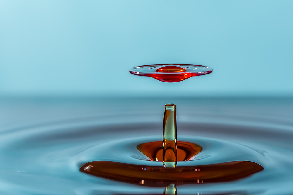 Winner of Photography News 'Close Up' Competition 2017 - Red 138