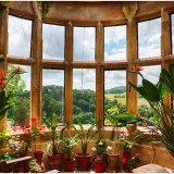 3rd-Room with a view(Open)-Bridget Davies
