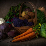 1st-Five a Day-Michael Ginsberg