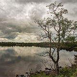 Commended-Stormy sky reflections-Sue Cox