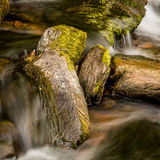 Commended-Watersmeet-Michael Ginsberg
