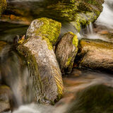 Commended-Watersmeet-Michael Ginsberg