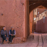 Commended-Alley Cat and a Chat-Bob Reynolds, ARPS