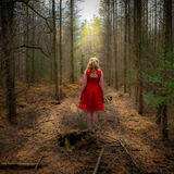 Commended-Lost in thought-Mike Ginsberg