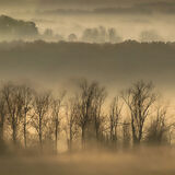 1st joint Misty morning in the Dronne Valley Keith Ridings