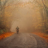 3rd joint The foggy biker Sarah Hall