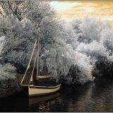 CHRIS GIBBINGS