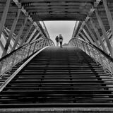 Commended Graham Lennox Mono Into The Light