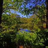 Commended Keith Machin Bystock Pool