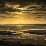 Commended Suzanne Parsons Evening Light