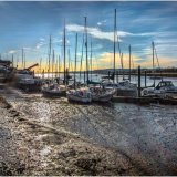 Low Tide