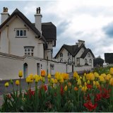 Cottages Peak Hill