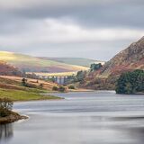 Highly Commended-Craig Gosh-Suzanne Parsons