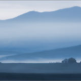 Dawn Mist