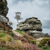 Gold Mike Hawkridge Brimham Rocks