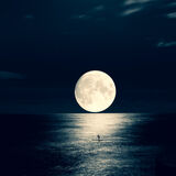 HC Paddleboarding By Moonlight Harri Morris