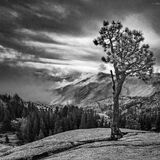 High Sierra