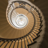 Highly Commended - Looking up - Suzanne Parsons