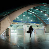 Homeward Bound