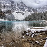 Winning Prints Comp 5 2016-17