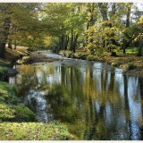 The Byes in Autumn