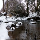 The river Sid
