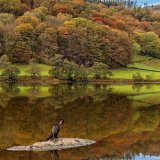 Winning Prints Comp 2 2018-19