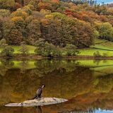 Winning Prints Comp 2 2018-19