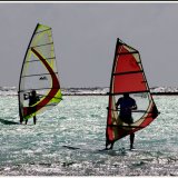 Windsurfers