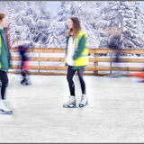Highly Commended-Winter Playtime-Tony Spooner ARPS