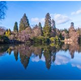 Winter Reflections Sheffield Park Gardens