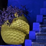 Yellow on Blue
