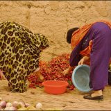 Vegatable Pickers