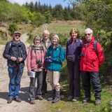 The Group