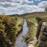 Dartmoor