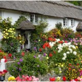 Branscombe Cottages Devon