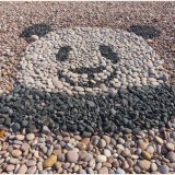 Creative Pebbles