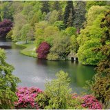 Spring at Stourhead