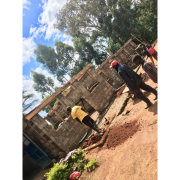 Building Up