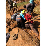 Digging the Foundations