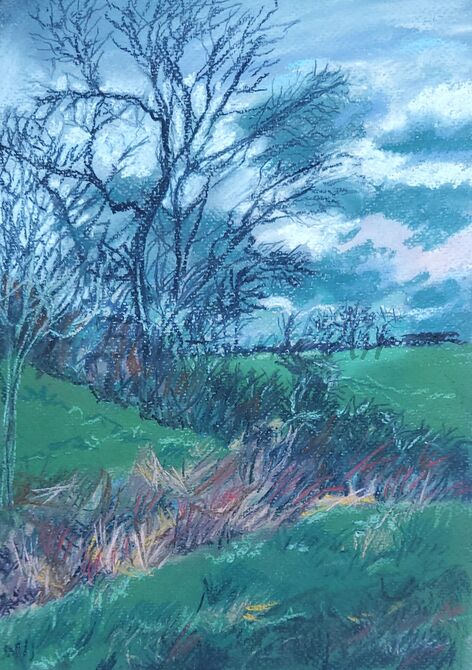 Hedgerow near Rushock, Worcestershire