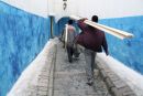 carpenters through blue