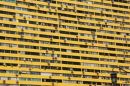 yellow living